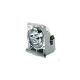PJ506D Replacement Lamp