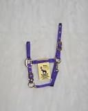 3Das-P Nyl Chin Halt Purp Pony