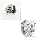 Bulldog Tile by Porcelain by Rosalinde (4' x 4')
