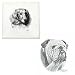 Bulldog Tile by Porcelain by Rosalinde (4' x 4')