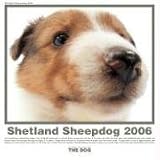 The Dog Shetland Sheepdog (Artlist Collection)