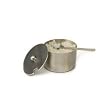 Brushed Stainless Steel Salt Cellar with Spoon