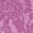 Fresia Purple