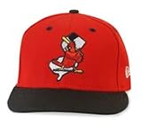 Minor League Baseball Cap - New Jersey Cardinals Alt 1 Cap by New Era