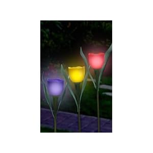 SOLAR TULIP LIGHTS