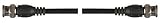 VIDEO LEAD