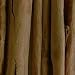 Health & Personal Care : Cinnamon - Ceylon (Whole Sticks) By ChefShop.com