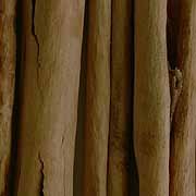 Cinnamon - Ceylon (Whole Sticks) By ChefShop.com by Cinnamon Sticks