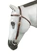 Down Under Aussie Barcoo Bridle