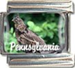 Clearly Charming Pennsylvania State Bird Ruffed Grouse Italian Charm Bracelet Link