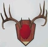 GEE R/VEL BK/ANTLER M/KT