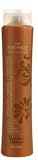 Brazilian Blowout Anti-Frizz Shampoo 12 oz