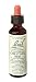 Chestnut Bud Tincture 20 ml, 0.70 fl. oz.