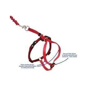 Premier Pet Come with me Kitty Harness