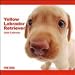 Yellow Labrador Retriever 2009 Wall Calendar