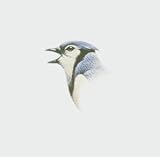 Buy : Waves