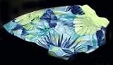 Tropical Paradise Summer Pee Wee Tee (L, girth 10 1/2