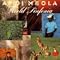 Al Di Meola Picture 9