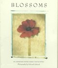 Blossoms Notecards