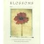 Deborah Schenck Blossoms Notecards (Deluxe Notecards)