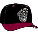 Minor League Baseball Cap - Sacramento River Cats Alt 2 Cap by New Era