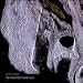 The Movement Toward You