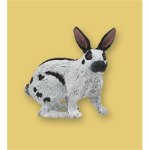 Papillon Rabbit (5)