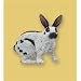 Papillon Rabit �i�p�s���� ���r�b�g�j