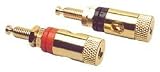 Gold Binding Post Pair