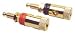 Gold Binding Post Pair