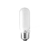 Ex-Pro - 2 PACK - Photographic E27 - 250 Watt Tungsten Daylight Quartz Bulb