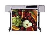 HP DesignJet 500ps Plus - 42 imprimante grand format - couleur - jet d encre - Rouleau (106,7 cm x 45,7 m), 1067 x 1897 mm - 1200 ppp x 600 ppp jusqu à 7.9 m2/heure (couleur) - parallèle, USB