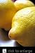 Eureka Lemon Tree One Gallon Plant by Monrovia