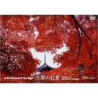 Virtual Trip 京都の紅葉 (トールサイズリニューアル)