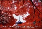 Virtual Trip ���s�̍g�t (�g�[���T�C�Y���j���[�A��) [DVD]
