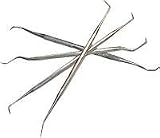 Dental Picks - Set of 4