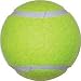 Tennis Balls - Economy Practice - Equipment