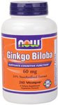NOW GINGKO BILOBA 60MG STANDARDIZED EXTRACT