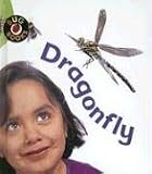 Dragonfly (Bug Books (Sagebrush))