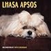 Dog Breeds Lhasa Apsos Calendar