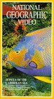 Nat'l Geo: Jewels of Caribbean Sea [VHS]
