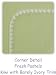 SwaddleDesigns Swaddle Designs Pastel Kiwi Green w/White Trim Swaddling Swaddler Blanket