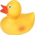 Rubber duck