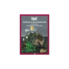 Igel: Stacheltiere in unserer Nachbarschaft