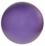 Professional Grade Exercise Ball 65 cm with Pump – Purple