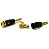 Screw On-banana Speaker Connec
