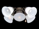 Emerson LK48WB Light Kit