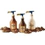 Ghirardelli Creamy Caramel Flavored Sauce (64 oz.)