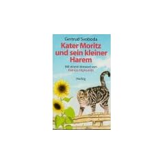 Kater Moritz und sein kleiner Harem