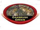 Blind Faberic Oakbrush Green Netting